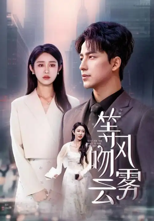 长街灯火 热播电视剧全集在线观看